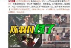 刘文迪视频爆料大全集最新,揭秘事件背后真相与内幕