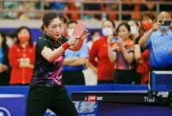 乒乓冠军爆料视频大全,独家爆料视频大全精彩瞬间回顾