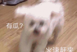 吃瓜娱乐圈懒猫儿,揭秘明星幕后故事