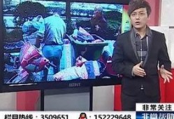 合肥电视台娱乐爆料视频,最新爆料视频大揭秘